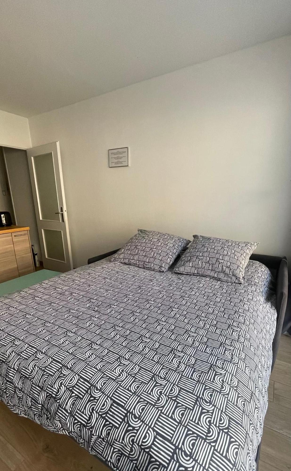Studio Plein Centre, Calme, Parking Inclus, Piscine Et Gardien Grenoble Bagian luar foto